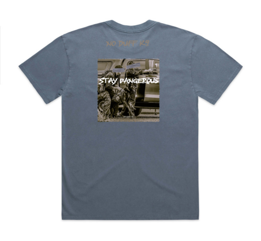 Stay Dangerous Heavy Tee